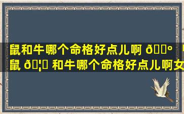 鼠和牛哪个命格好点儿啊 🐺 「鼠 🦟 和牛哪个命格好点儿啊女生」